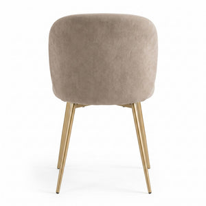 DISTUN 4PCS CAMEL